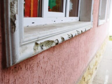 scoala_pantelimon_inainte4