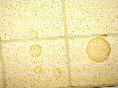 scoala_pantelimon_inainte9