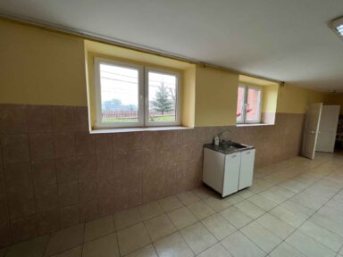 scoala_cornel_regman_mures_dupa_6