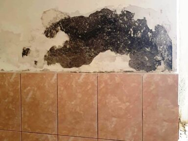 scoala_cornel_regman_mures_inainte_5