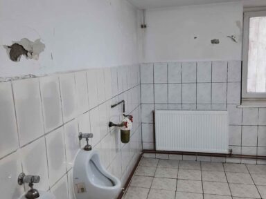 scoala_cornel_regman_mures_inainte_7