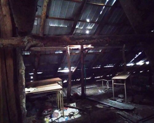 9-scoala-negulesti-bc-inainte