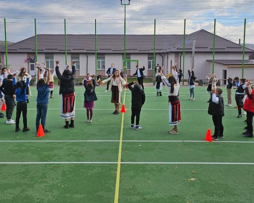 timis_scoala_brestovat_dupa_2